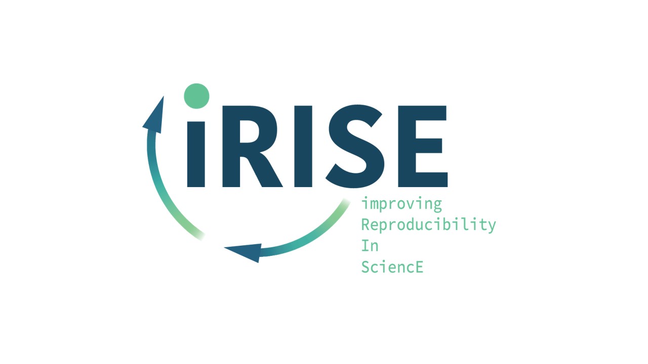 IRISE SOLES logo